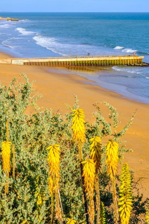 Beach Studio In Albufeira'S Old Town Ngoại thất bức ảnh